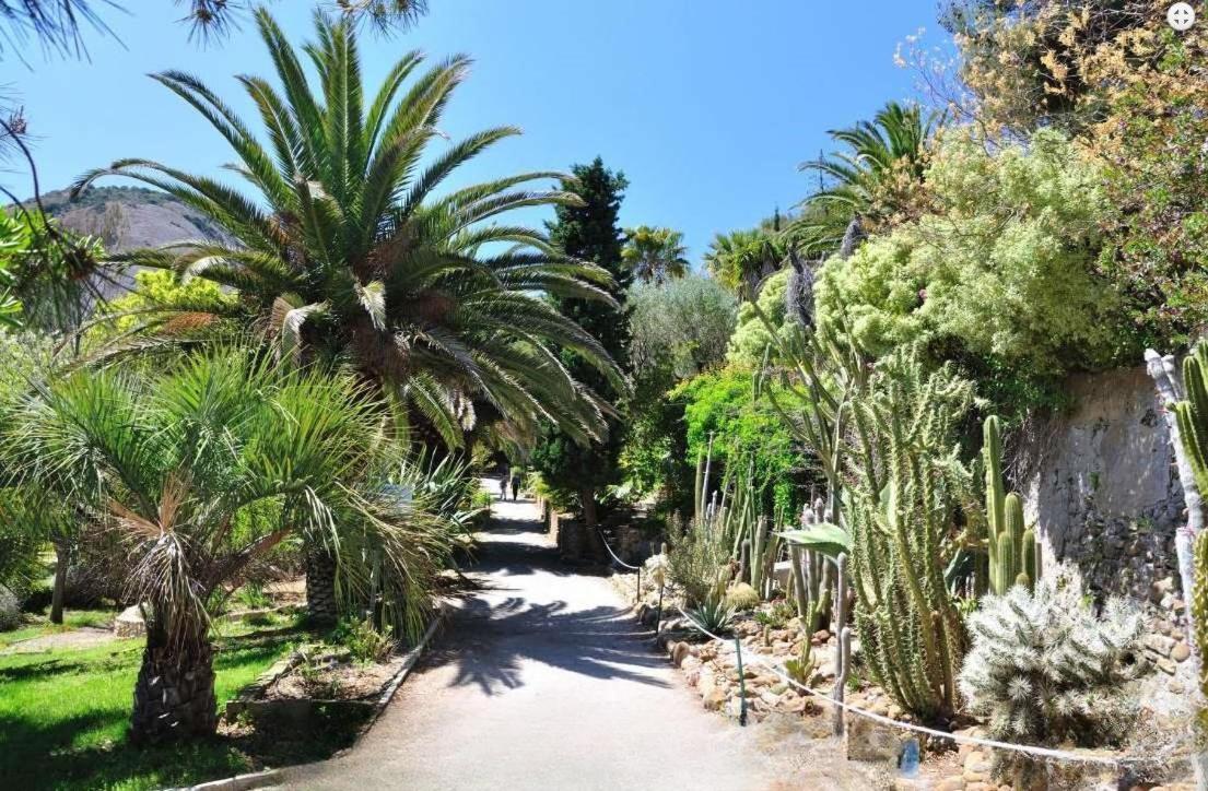 Logement Climatise Avec Jardin Et Parking Pour 2 Personnes En Bord De Plage La Ciotat Bagian luar foto
